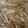 とむひま's cooksnap of when they made ごぼうの保存.