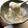 ともぞ〜〜's cooksnap of when they made たった2分♪ 片栗粉で簡単デザート♪.