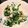 クックMA37UT☆'s cooksnap of when they made ほうれん草とツナのマヨあえ.