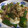 きゅうりとりんご's cooksnap of when they made 豚こまとピーマンの味噌炒め.