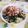 クック23FH5H☆'s cooksnap of when they made お手軽♪ふかや野菜のビビンバおにぎらず.