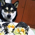 ☆sofuka☆'s cooksnap of when they made 犬用♡わんちゃんだって恵方巻き～♪.