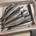 ＷａＴヒロコロ's cooksnap of when they made いわしの下処理.