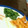 eiyoushi's cooksnap of when they made ほうれん草のごま和え♪砂糖なし塩醤油ゴマ.