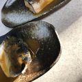 コベルコキャタピラー's cooksnap of when they made フライパンで簡単★韓国風★鯖の味噌煮.