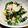 種小豆's cooksnap of when they made ほうれん草とりんごのサラダ.