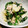 種小豆's cooksnap of when they made ほうれん草とりんごのサラダ.