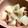 きゃりたに's cooksnap of when they made とり大根.