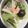 みのむひ's cooksnap of when they made シャケ白菜蒸し.
