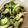 クック5WQGO7☆'s cooksnap of when they made コクと香り♪わかめと野菜の酢の物♡.