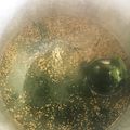 高校野球MG's cooksnap of when they made 超簡単♡焼肉屋のわかめスープ♬.