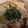 りーとぽん's cooksnap of when they made 簡単やさしい親子丼.