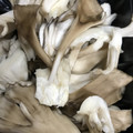 マリアマリママ's cooksnap of when they made とっても便利！舞茸の冷凍.