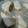 クックXZO43C☆'s cooksnap of when they made タラのバター白ワイン蒸し メークイン添え.