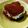 LYDIAぽん's cooksnap of when they made mお手軽♪スコップティラミス.