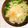 雛鳥と親鳥's cooksnap of when they made 半熟卵がとろ〜り♪豆苗と落とし卵のみそ汁.