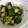 トロイメライ♬'s cooksnap of when they made 簡単1分キュウリと塩昆布であと一品.