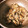ポンチマン's cooksnap of when they made しょうが焼き丼☆温玉のせ.