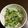 tiapon's cooksnap of when they made ＊春雨のゆず胡椒サラダ＊.