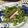 クック6U4NQX☆'s cooksnap of when they made 水菜とハムのさっぱりサラダ.