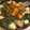 れれれんこん。's cooksnap of when they made ほうれん草のアヒージョ風サラダ.