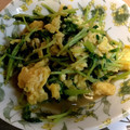 ひろあら's cooksnap of when they made 卵と豆苗のオイスター炒め.