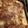 Yokchina's cooksnap of when they made ほうれん草のラザニア lasagna.