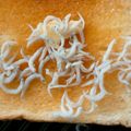 curisupin's cooksnap of when they made 【離乳食 後期】しらすトースト.