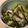 micchanhi's cooksnap of when they made 白菜の浅漬け.