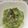 クックVH1GOK☆'s cooksnap of when they made アボカド☆ヨーグルトサラダ.