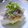 みや２'s cooksnap of when they made 大根おろしとシラスで冷奴.