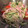 Dえりんご's cooksnap of when they made ちょー簡単はるさめサラダ♪.
