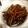 えりこんぐ６２６'s cooksnap of when they made 簡単 きんぴらごぼう.