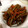 えりこんぐ６２６'s cooksnap of when they made 簡単 きんぴらごぼう.