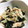 ちづりんも's cooksnap of when they made わかめと玉ねぎとツナの和え物.
