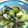 シロノワール's cooksnap of when they made あさりと長ねぎの中華風酒蒸し.