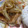 クックH1PLNS☆'s cooksnap of when they made 玉ねぎ入り　やわらかい豚肉のしょうが焼き.