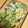 クックIY1DQC☆'s cooksnap of when they made 小松菜とシーチキンコーンプラス缶和え♪.