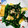 クックS3KLCL☆'s cooksnap of when they made ほうれん草と薄上げの和え物.