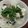 あゆたっくん's cooksnap of when they made ＊チーズと海苔でしらすの丼ぶり＊.