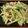 つのっち's cooksnap of when they made 長いもの梅肉あえ.