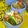 ◆◇Wtiti＊◇◆'s cooksnap of when they made 【スキマ弁当】人参とピーマンの麺つゆ炒め.