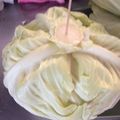 ﾌﾞﾚﾝﾀﾞ's cooksnap of when they made 究極！レタス（キャベツ・白菜）の保存法。.