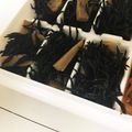 リボンヌ's cooksnap of when they made お弁当に♬ ひじきと高野豆腐の炒め煮.