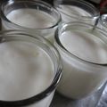 ちばたま's cooksnap of when they made 水切りなし☆ヨーグルトのデザート.
