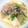 女帝蜂蜜✨料理研究所's cooksnap of when they made こがしネギの中華風スープ.