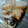 クックBNQ5PD☆'s cooksnap of when they made 大根と塩昆布の浅漬け.
