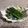Amalka's cooksnap of when they made 材料２つだけ。大好き！アスパラの昆布締め.
