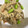 フロイラインめぐ's cooksnap of when they made きんぴらリメイク☆焼肉のたれdeおから煮.