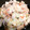 はーくま's cooksnap of when they made 厚揚げと白菜のみぞれ煮.